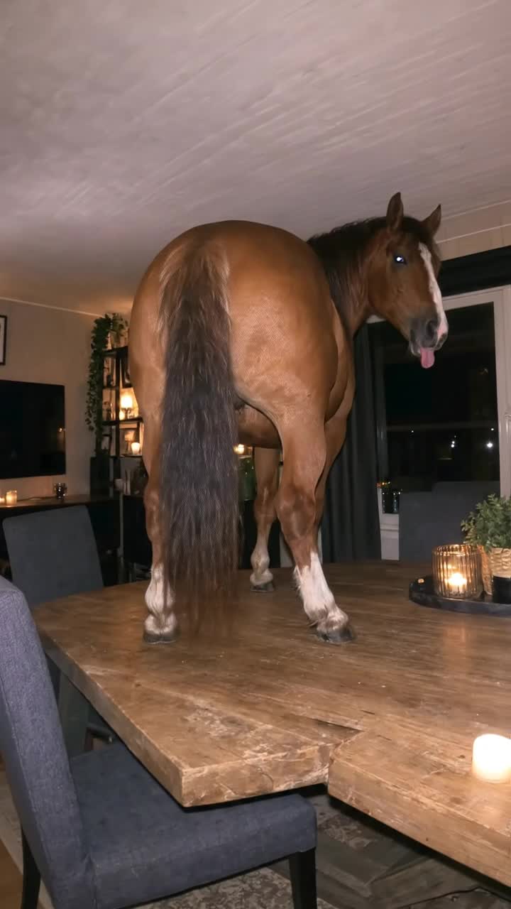 @Ultimate Horse Power