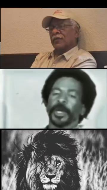 @ሕጋዊ ሓማዊ ወዱ ውጩ🦁🇪🇷👑