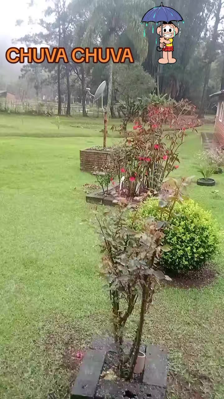 @Jos&eacute; Carlos