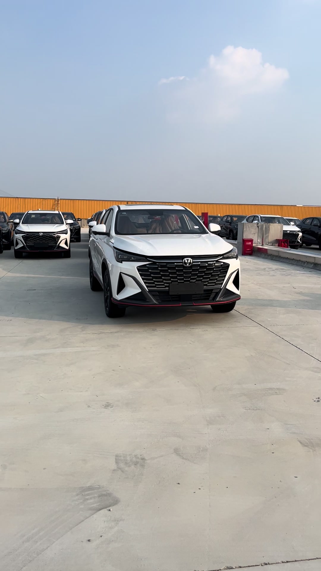 @China EV Export Cars Supplier