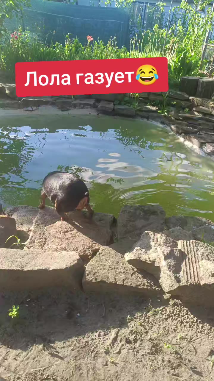 @Viktoriya