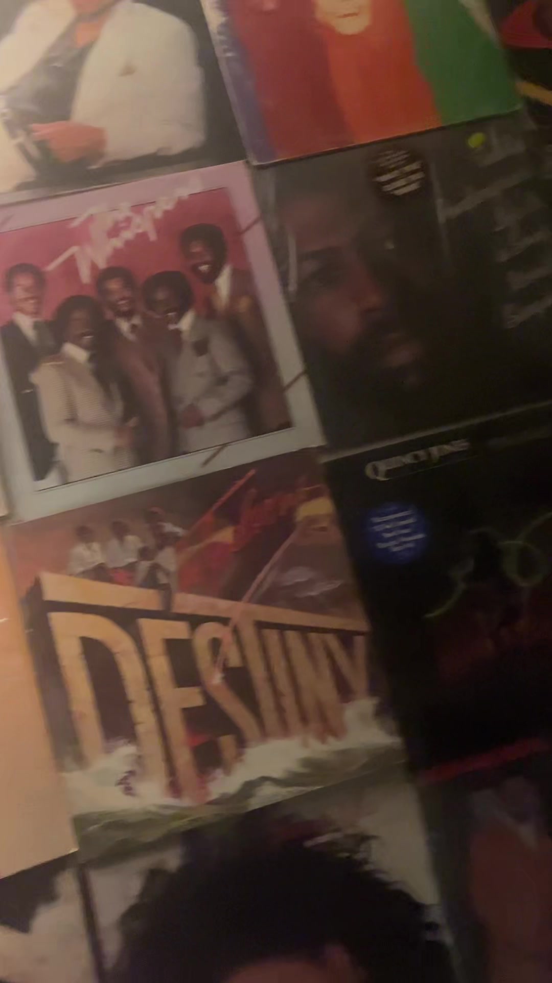 @The Vinylist