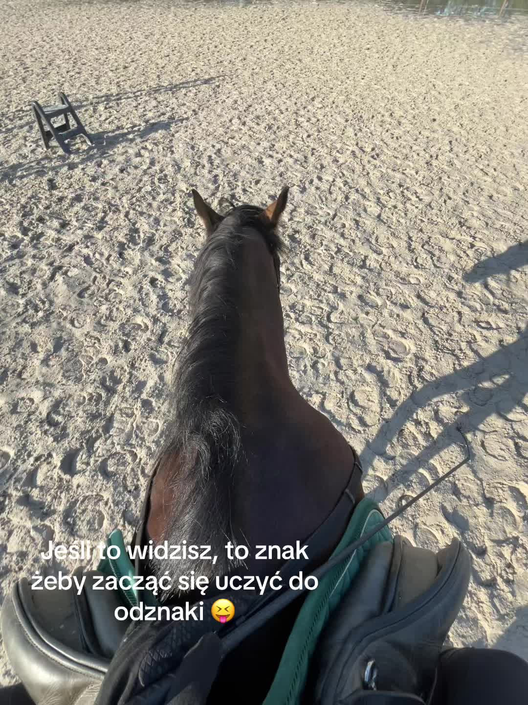 @s.equestrian