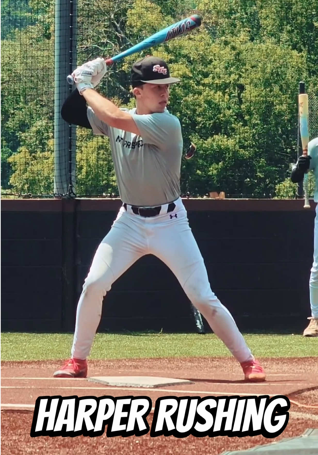 @Tennessee Baseball Network