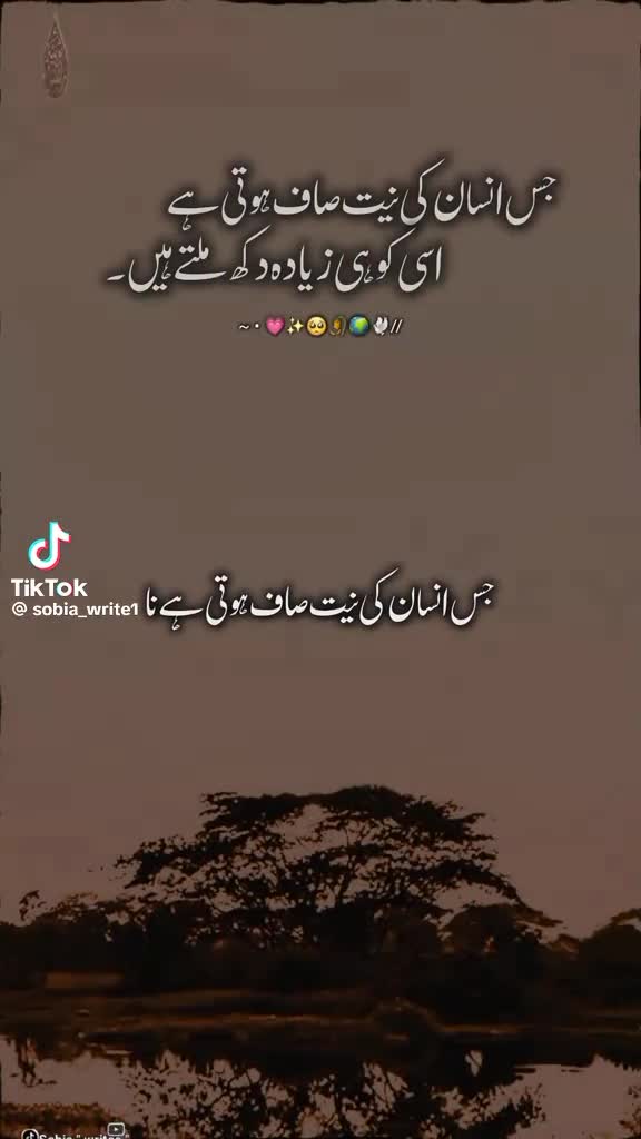 @kashi