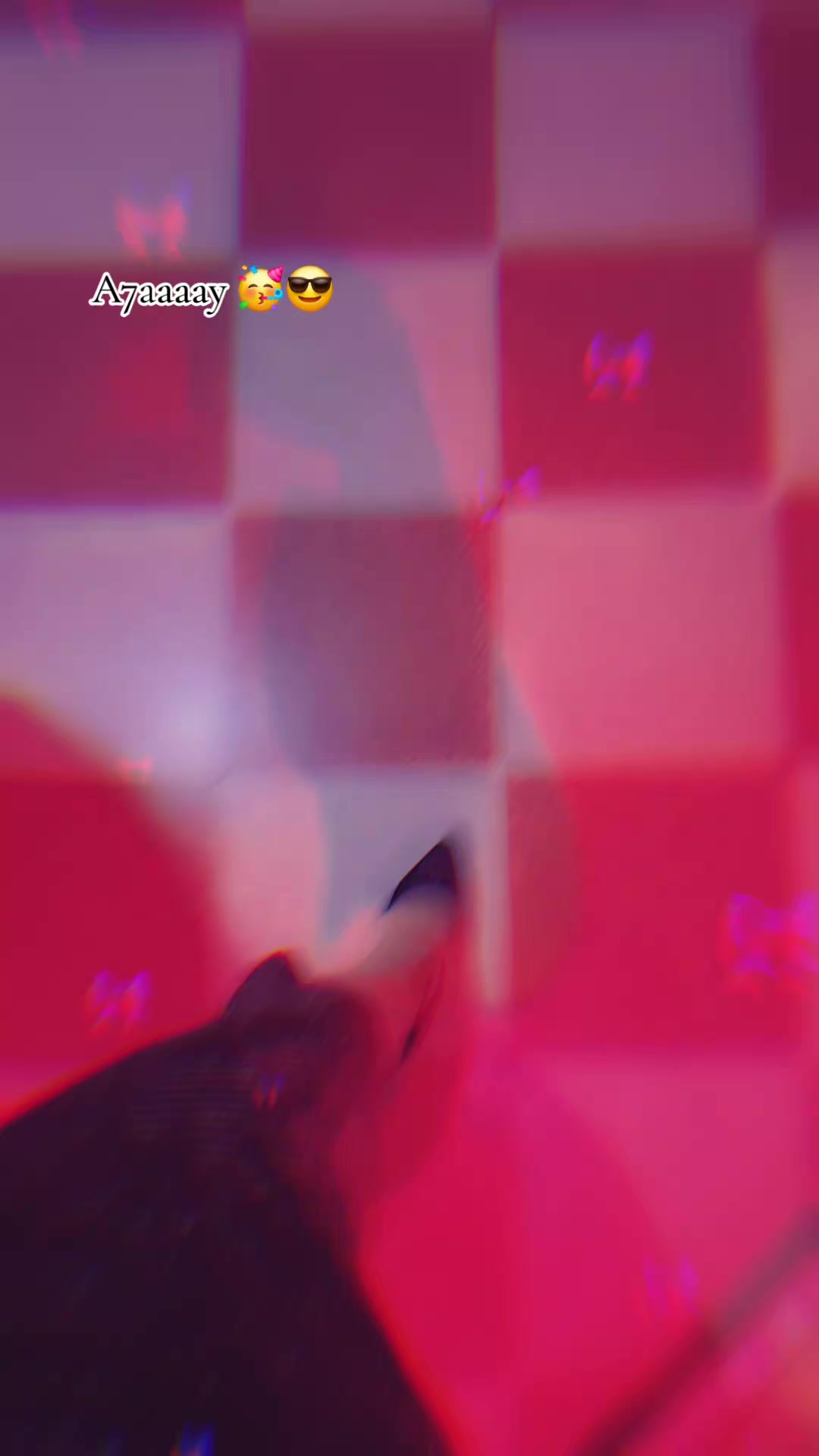 @๐ฆ tฤฏì_โฃ_møºù ๐ฆ