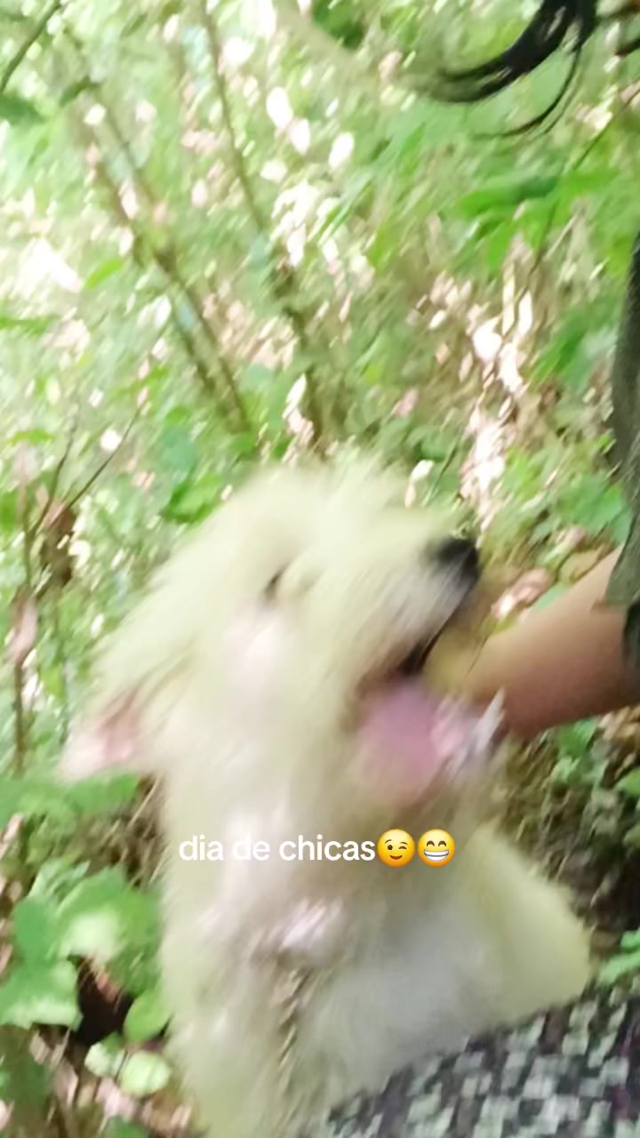 @Isabel chávez
