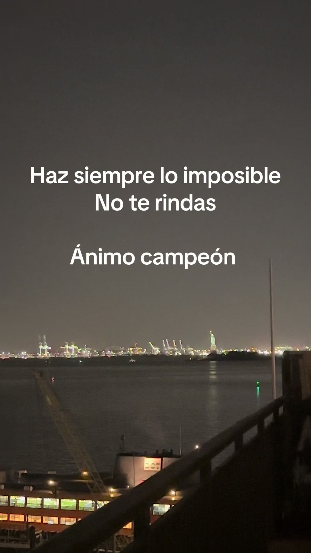 @Flores