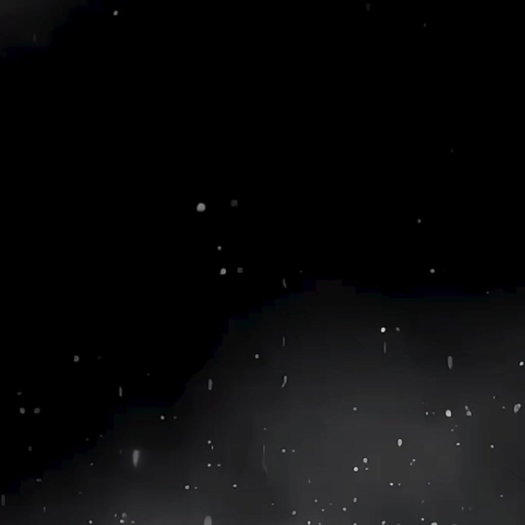 @𝙰𝚕𝚍𝚎𝚗 𝙵𝚛𝚘𝚜𝚝
