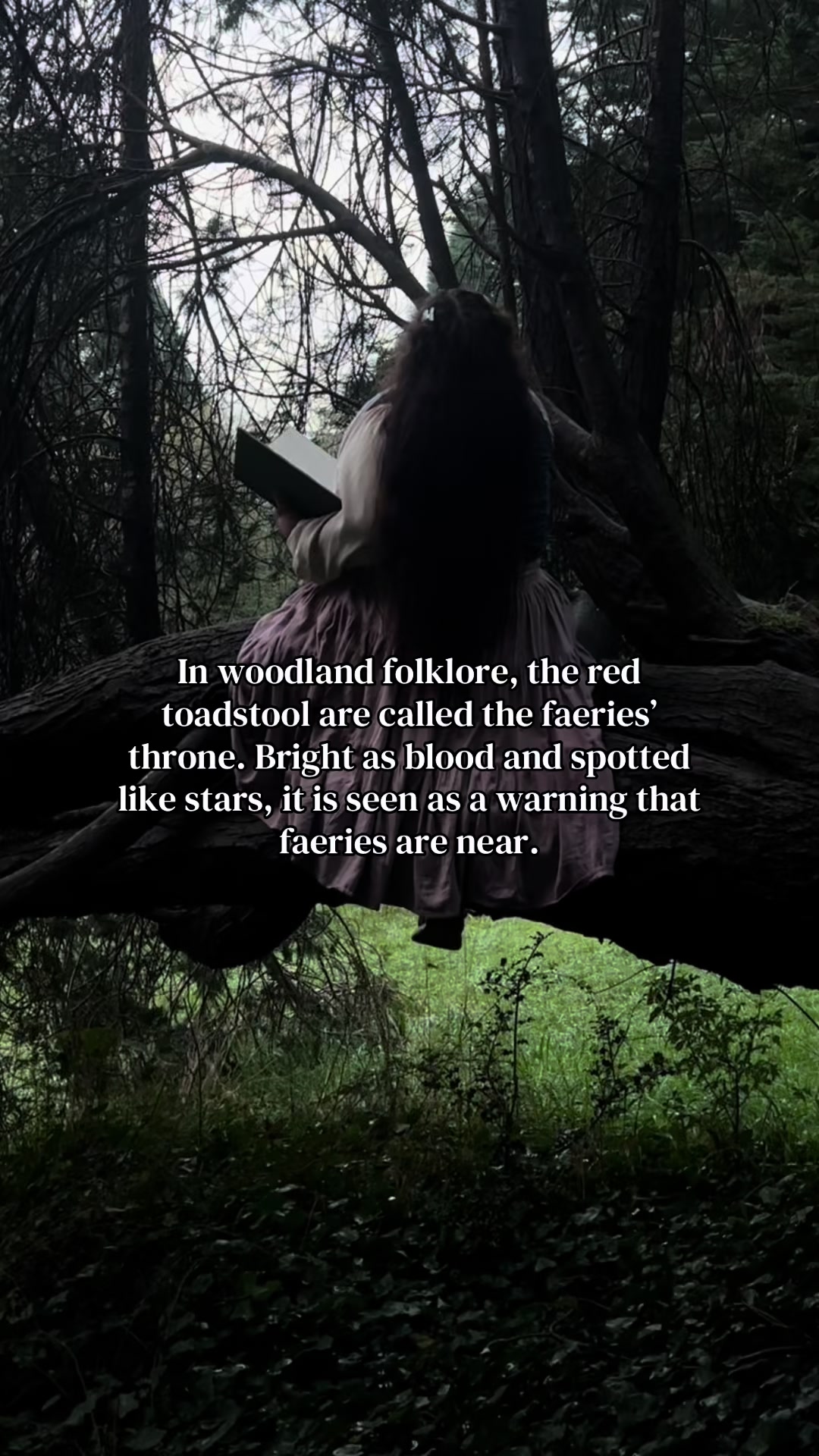 @FAIRY🧚🏽