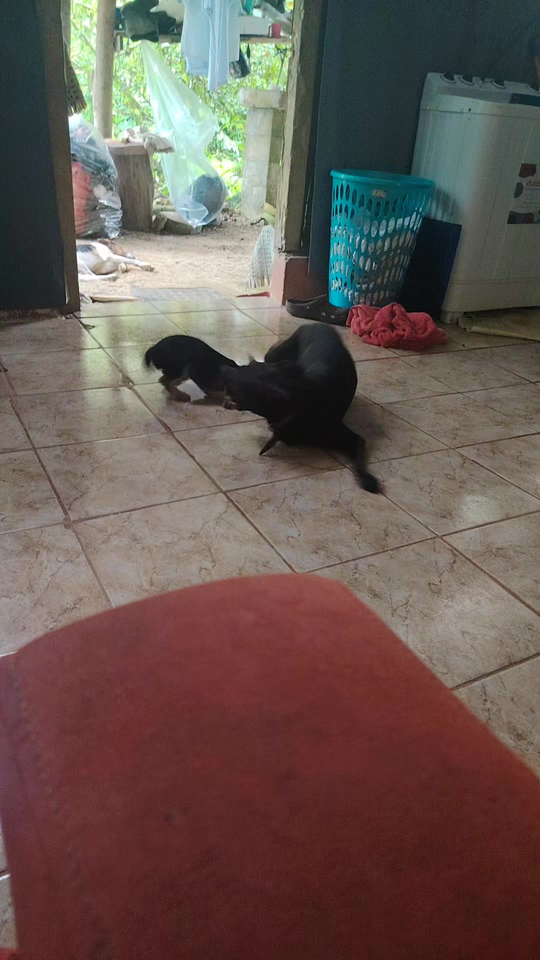 @M Diaz Mejia