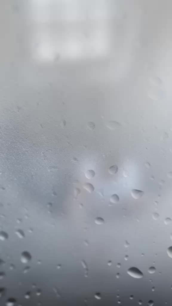 @кот гопник