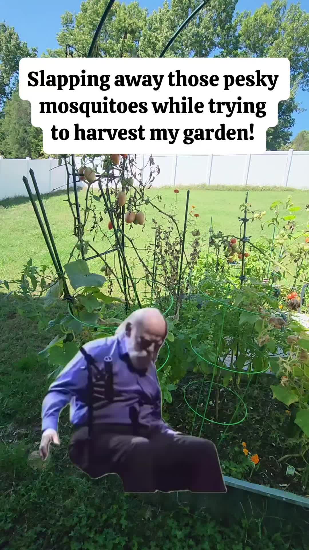 @Lana -🐕&zwj;🦺Dog Mom & Gardener