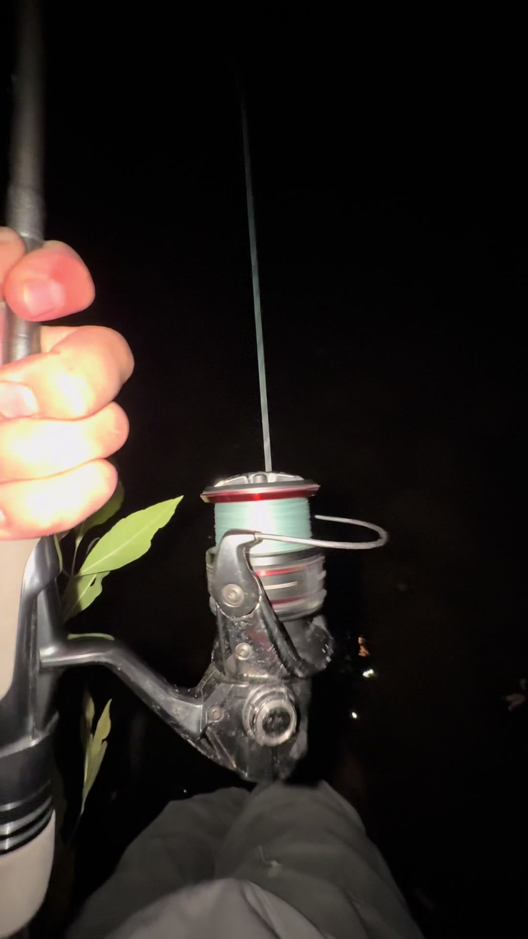@FishGuy