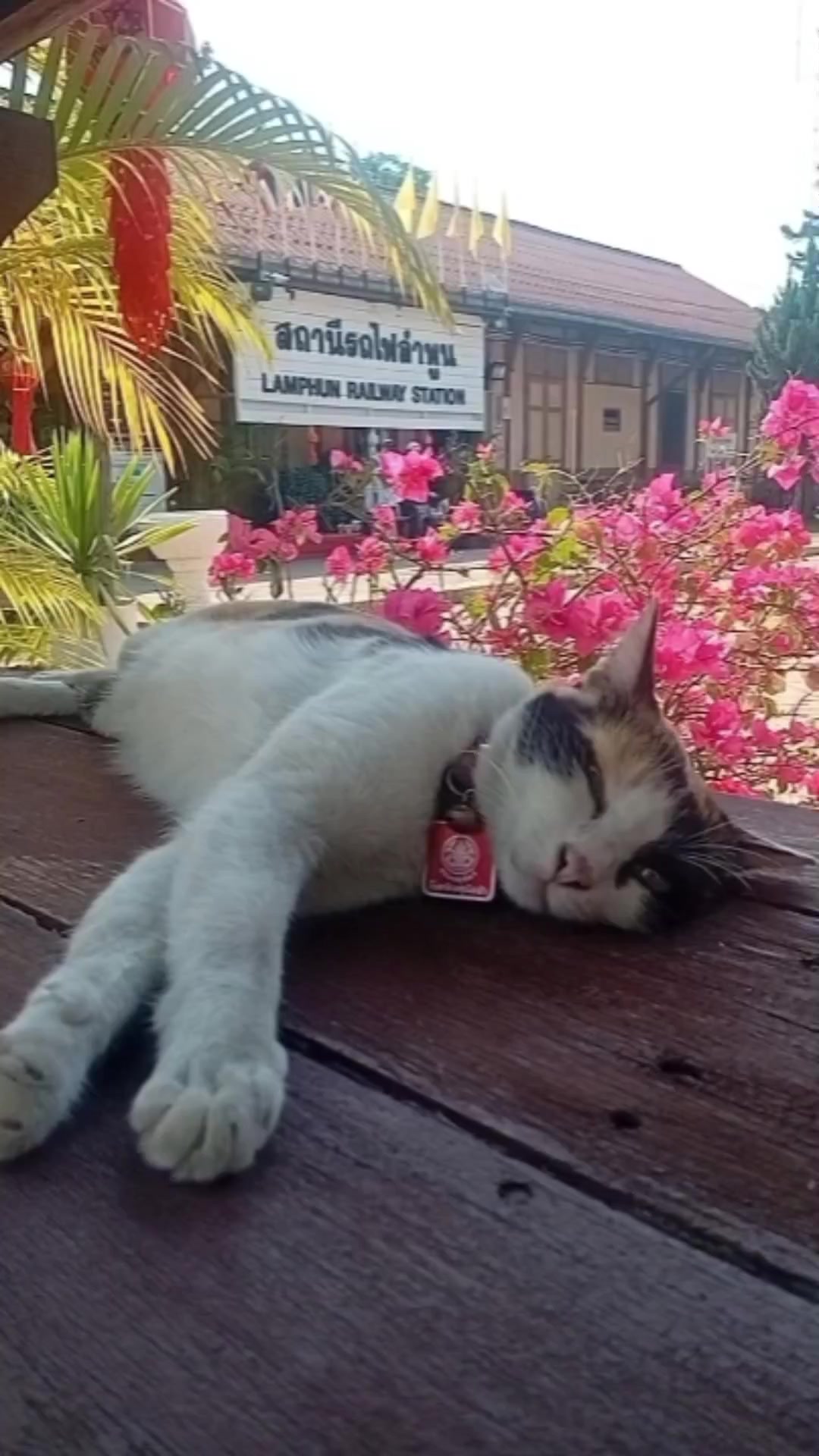 @เลียบราง..หละปูนบ้านเฮา
