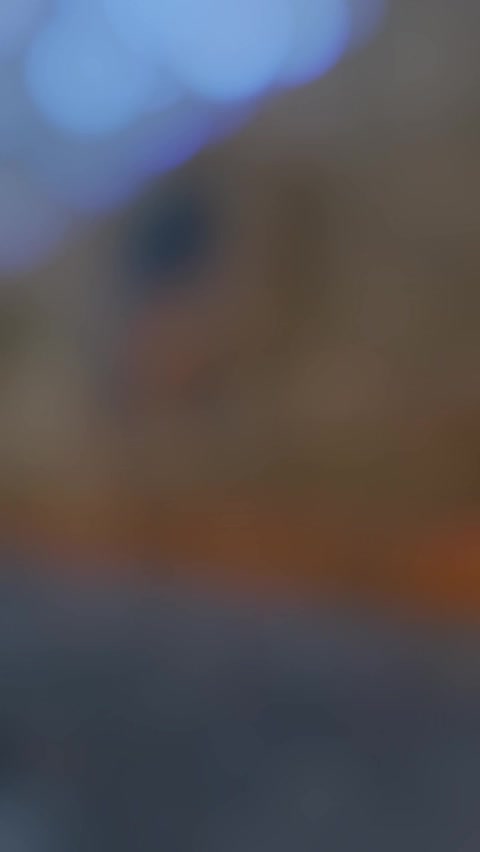 @Mario Pikazo