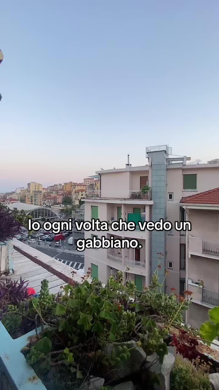 @Futura