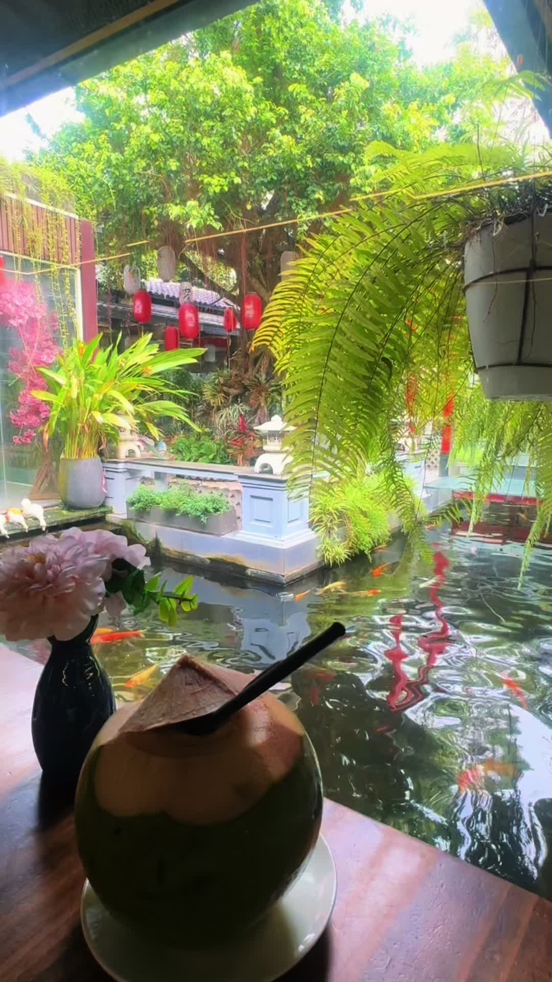 @Mậu Dần 1998