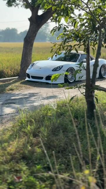 @GASSGANG