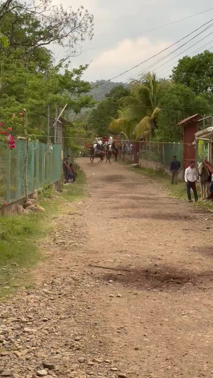 @Fernando Pineda