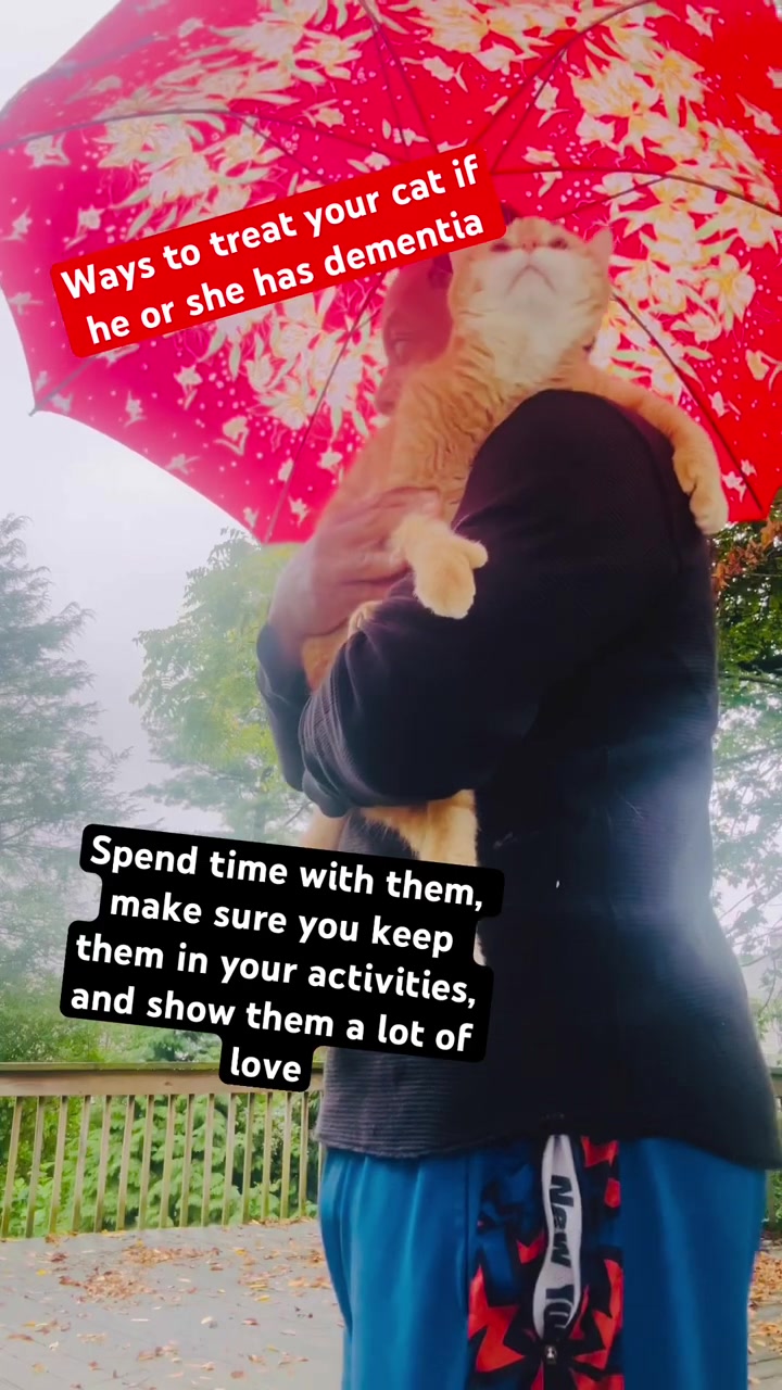 @ACatnameThrilla&aGuynamedRa