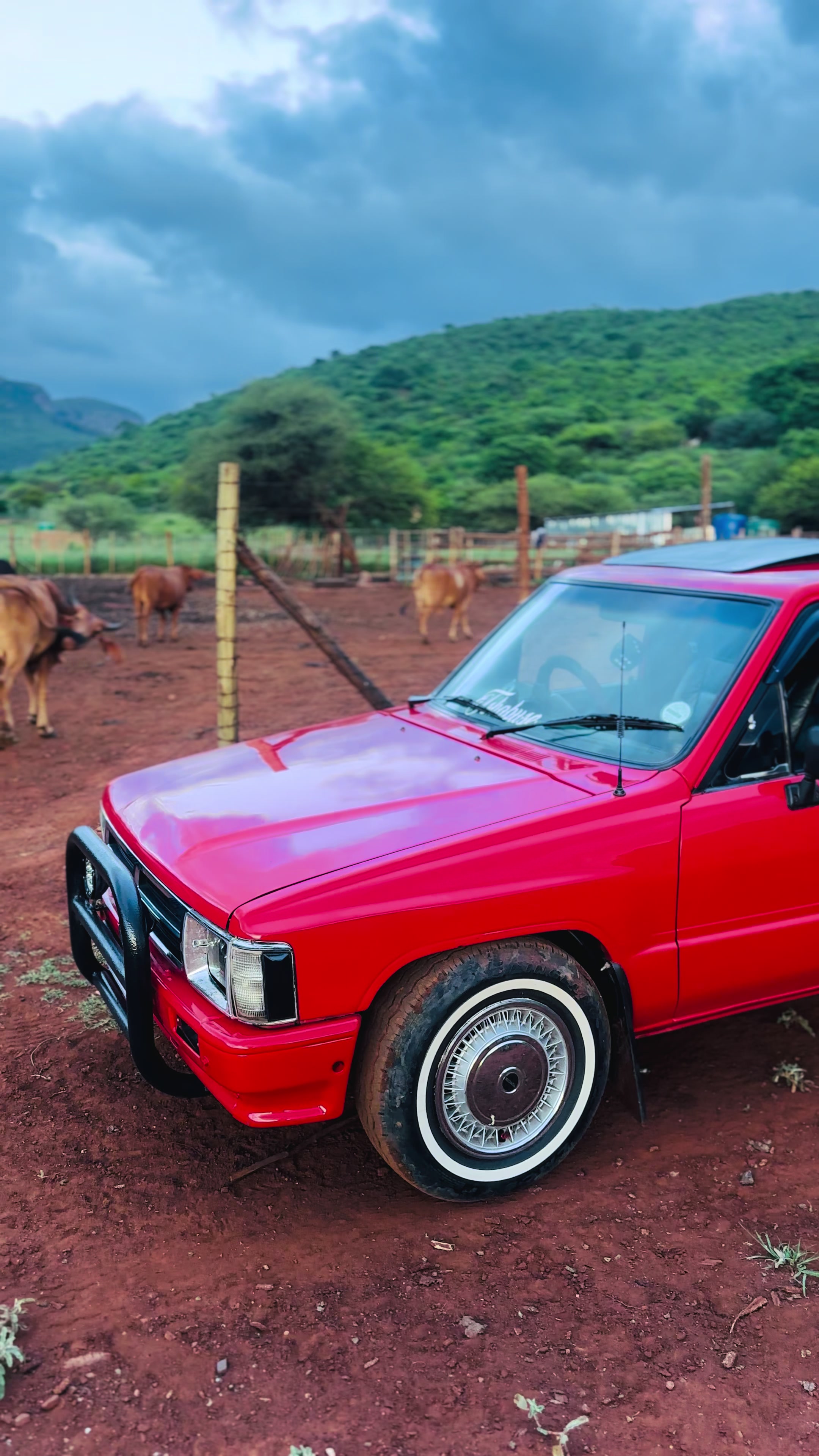 @MACKS🇿🇦45