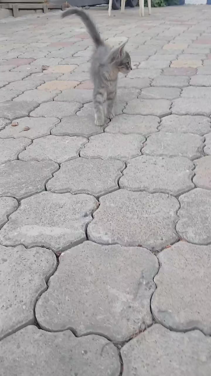 @Ziliftaroğlu Mehmet 46