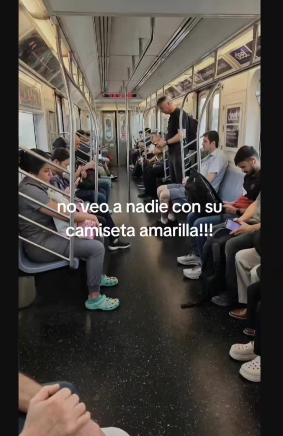 @el panda solitario