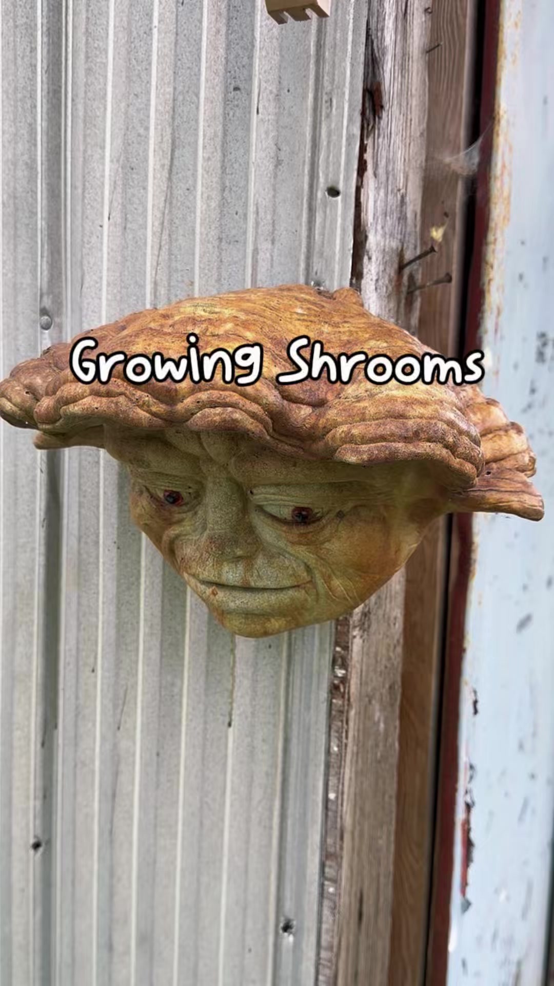 @JP
