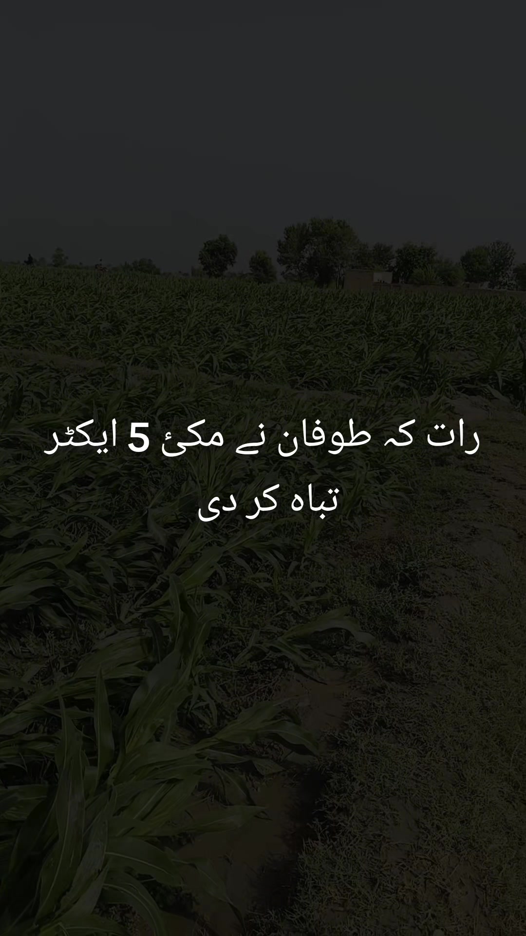 @Bader Wattoo