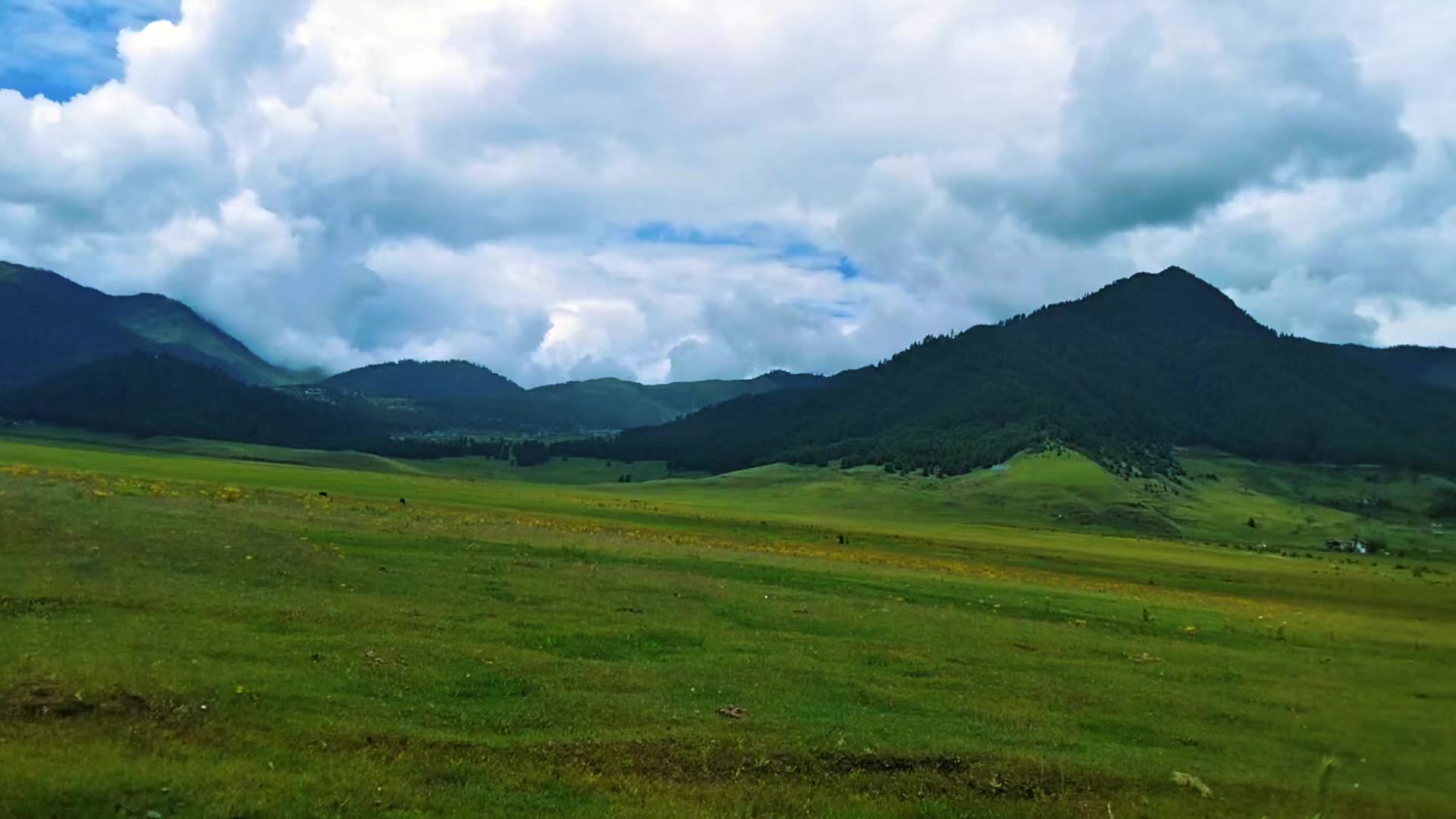 @Solo Season-@🇧🇹