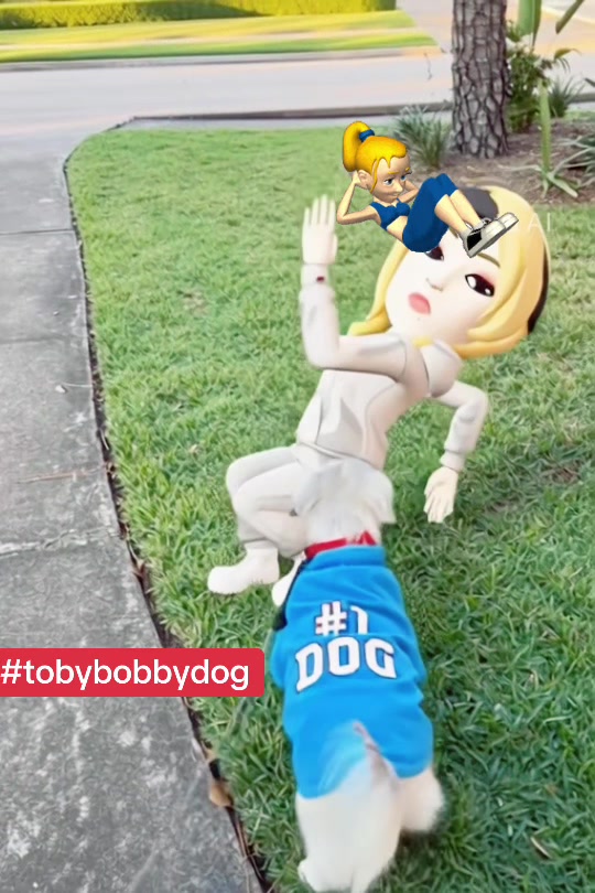 @Tobybobbydog