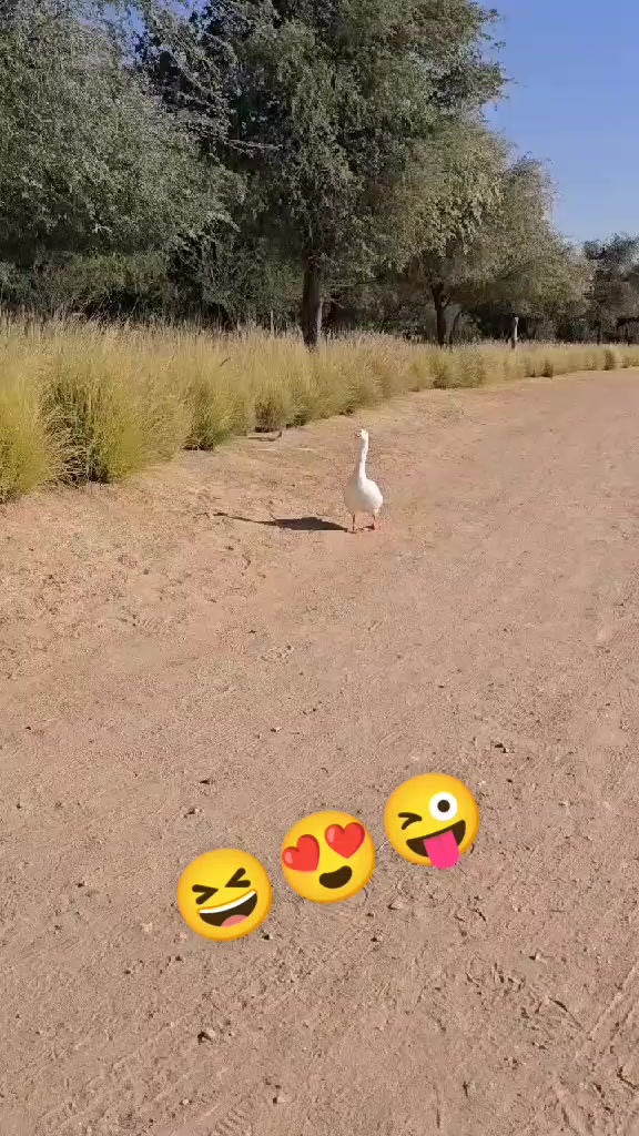 @नवराज पौडेल