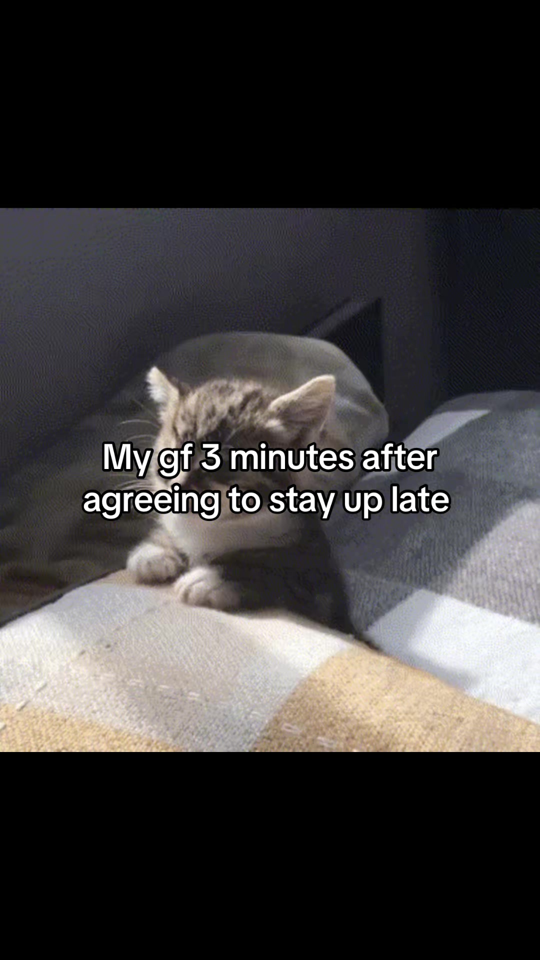 @LavanderCat