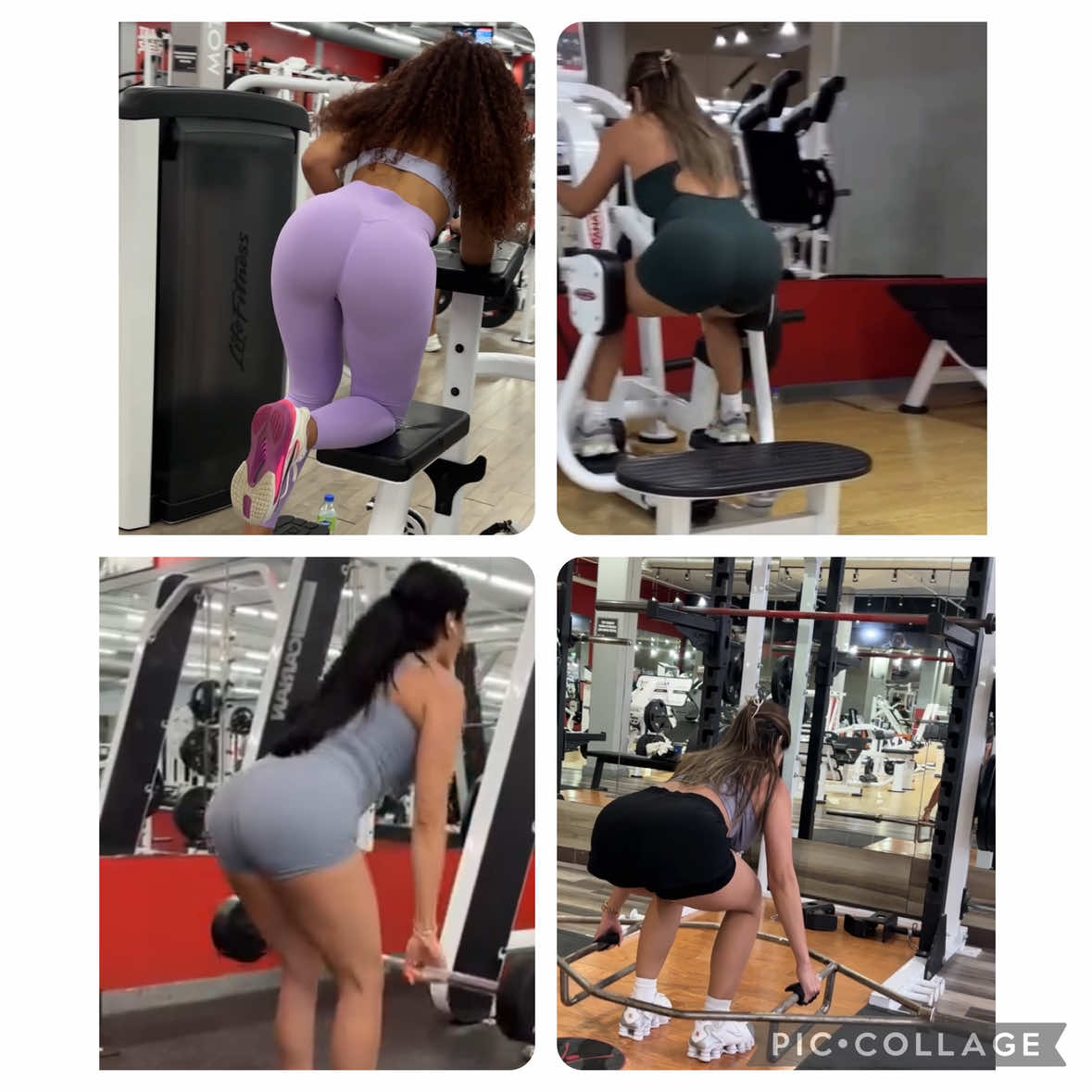 @sammy_11fit