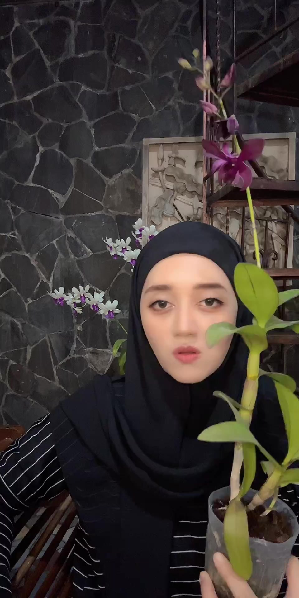 @Anggina Orchid