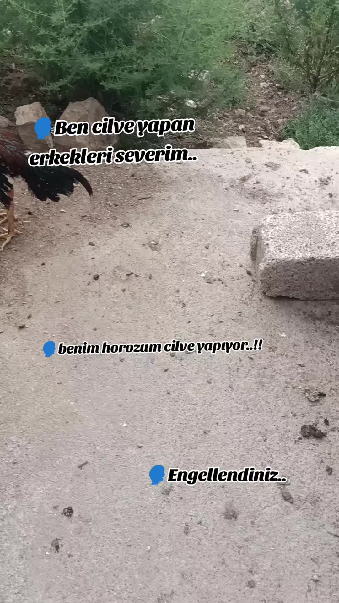 @horozcu_31