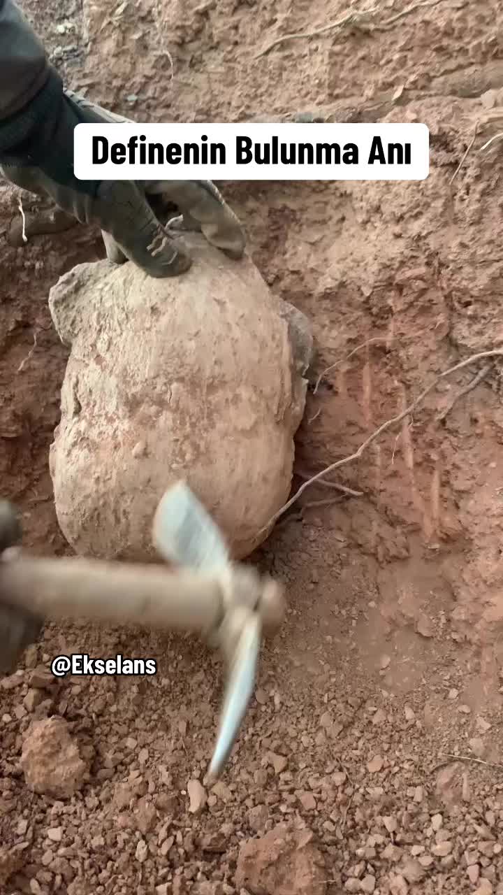 @Ekselans