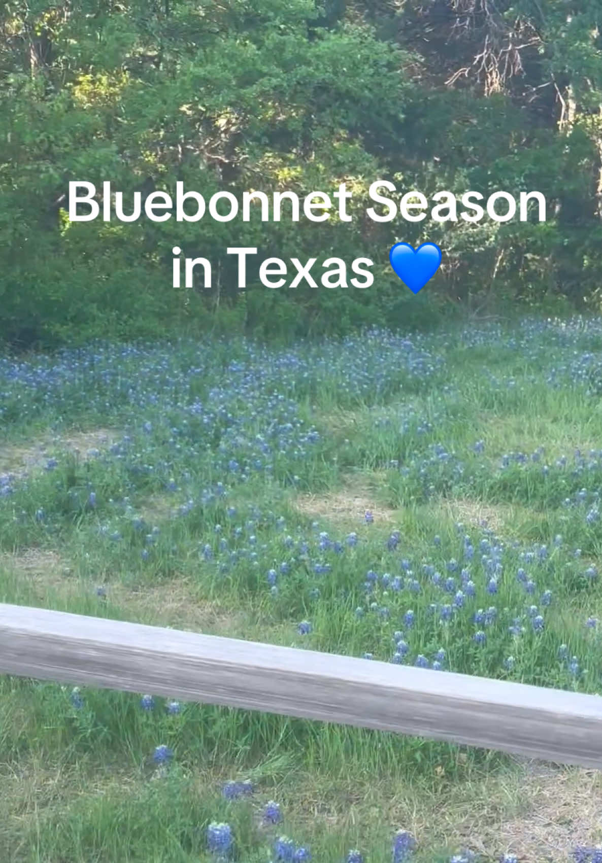 @ChickyBIscuit