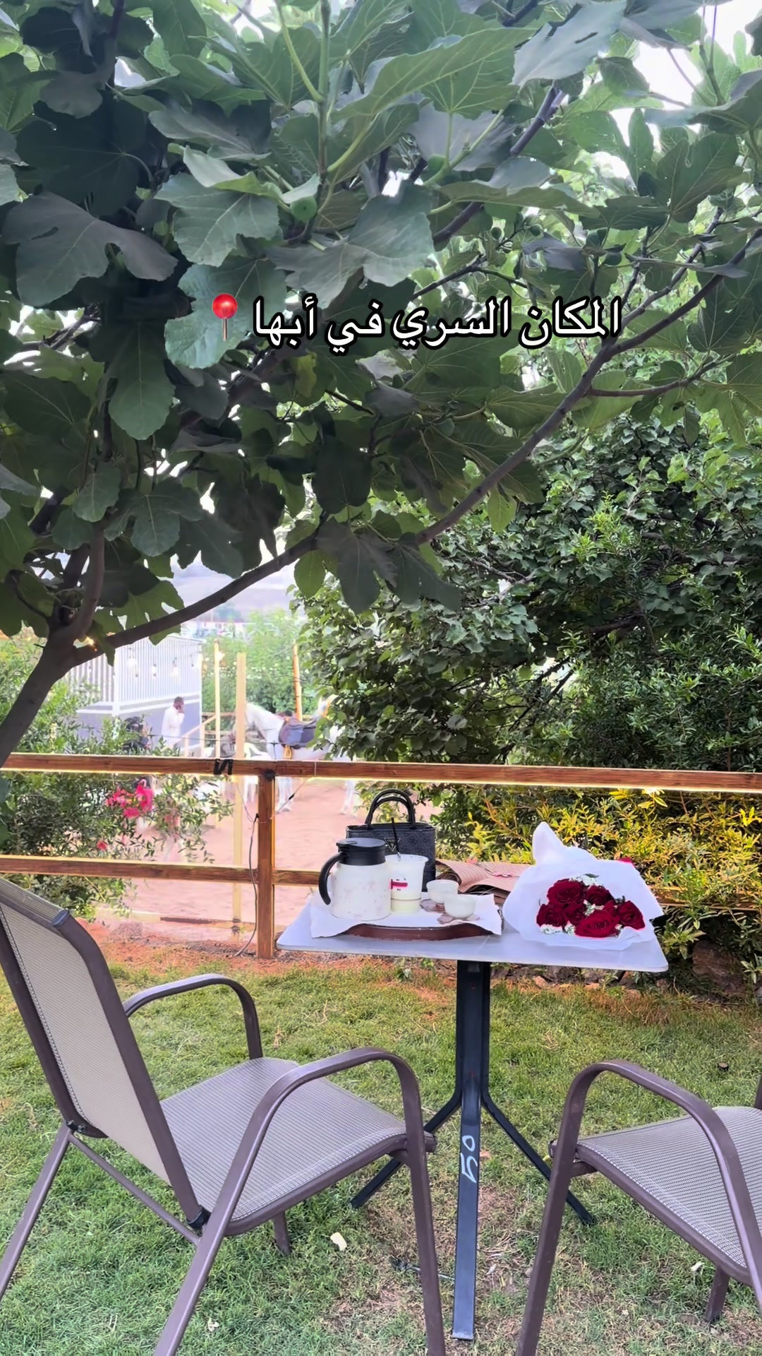 @Shahad Ali
