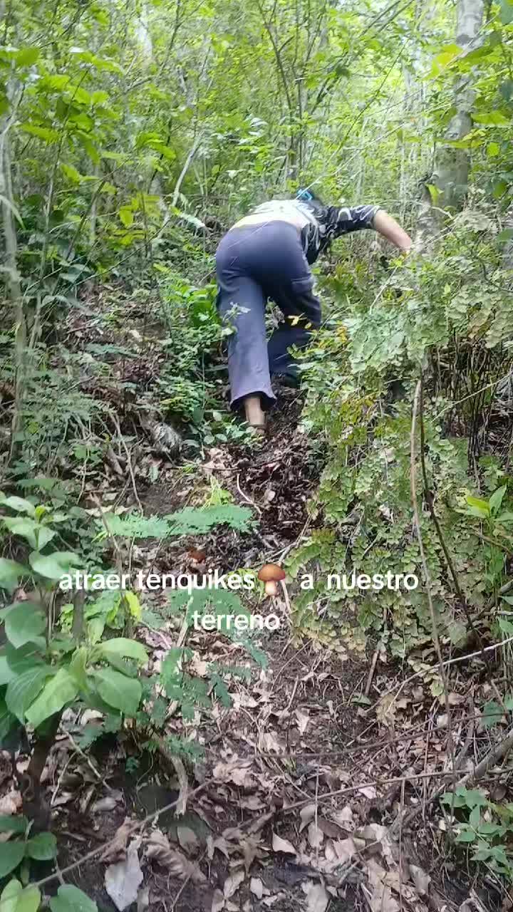@Isabel chávez