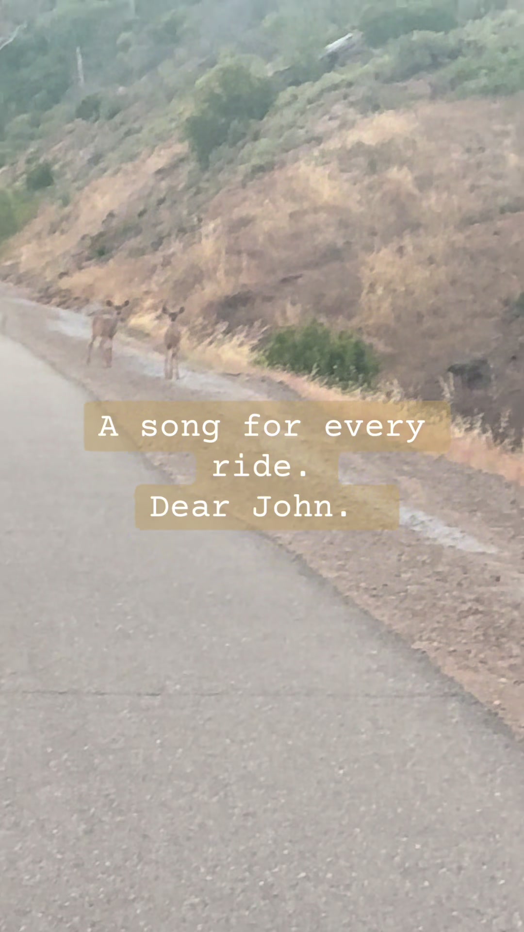 @Girl.on.a.trike