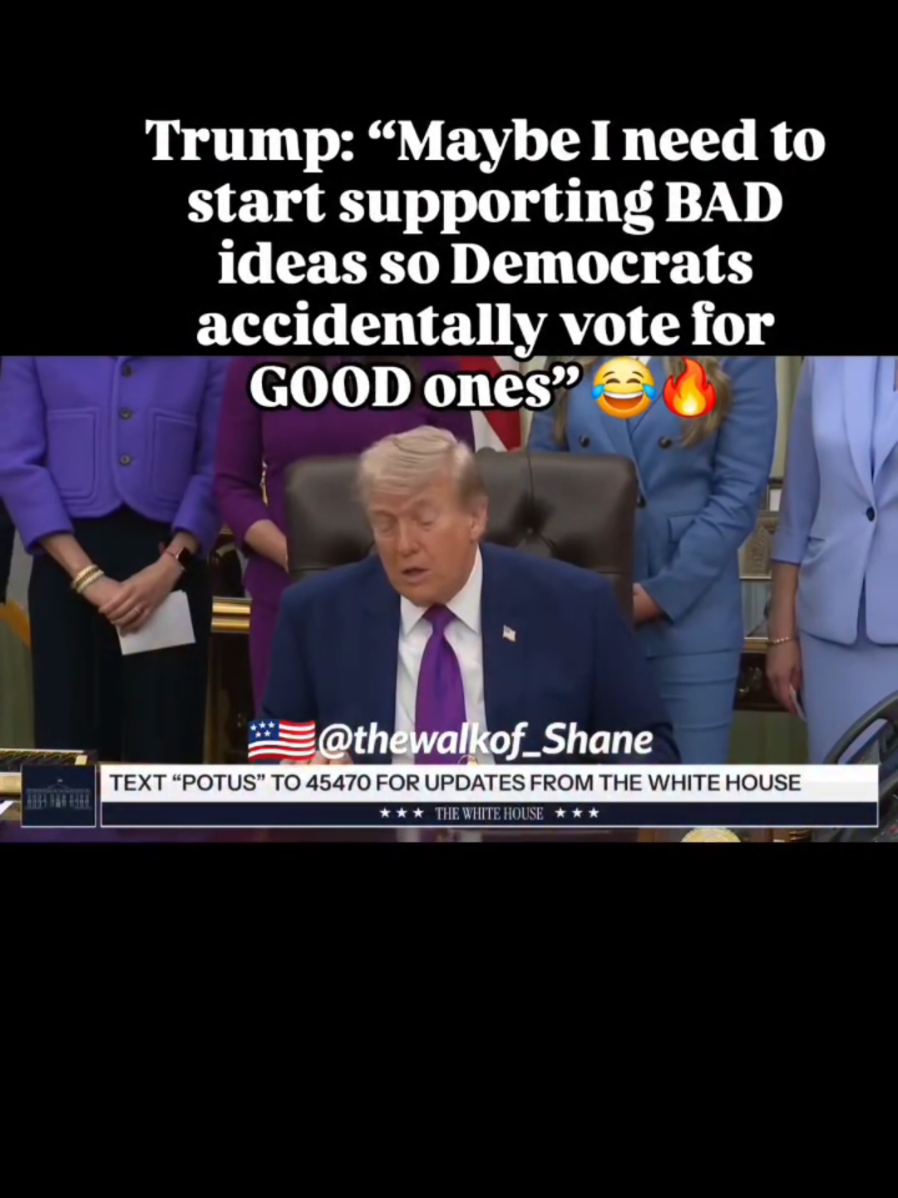 @thewalkof_Shane