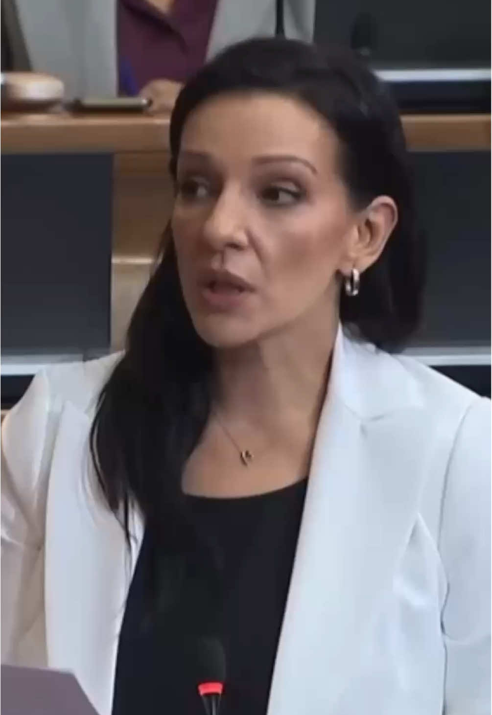 @Marinika Tepić