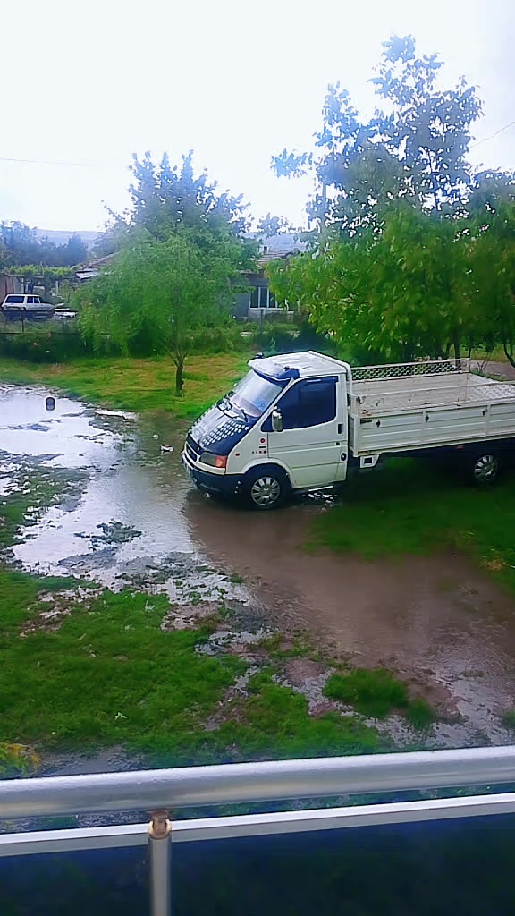 @sarı Kral