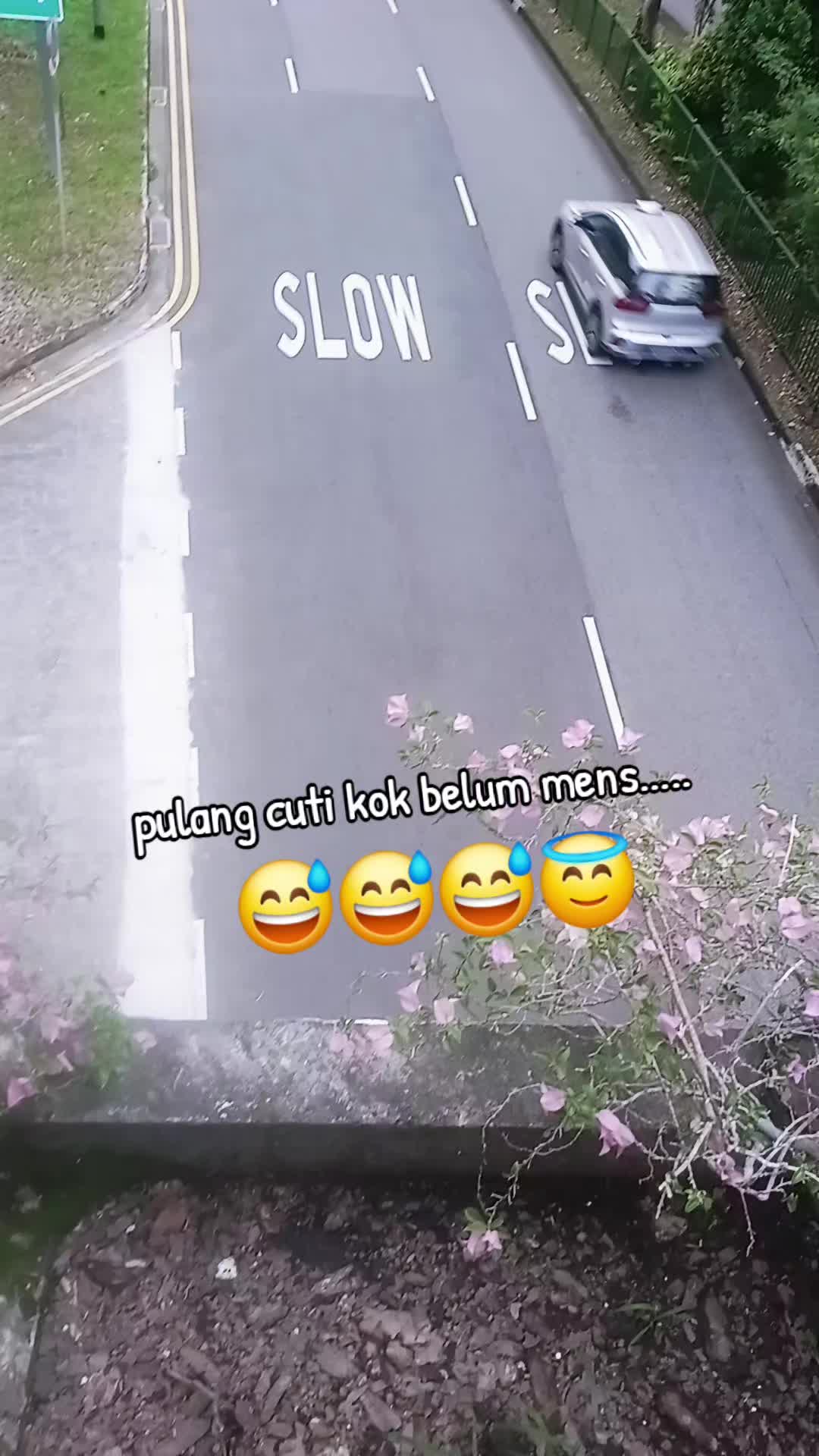 @J  A  N  D  A 😎