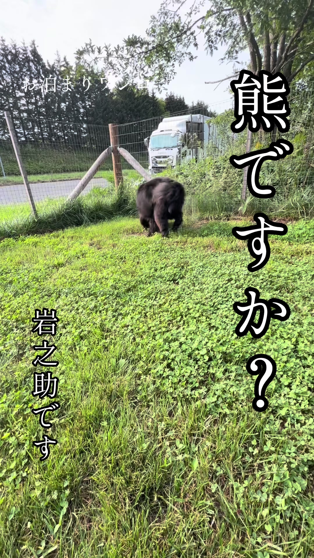 @Wag_nakashibetsu