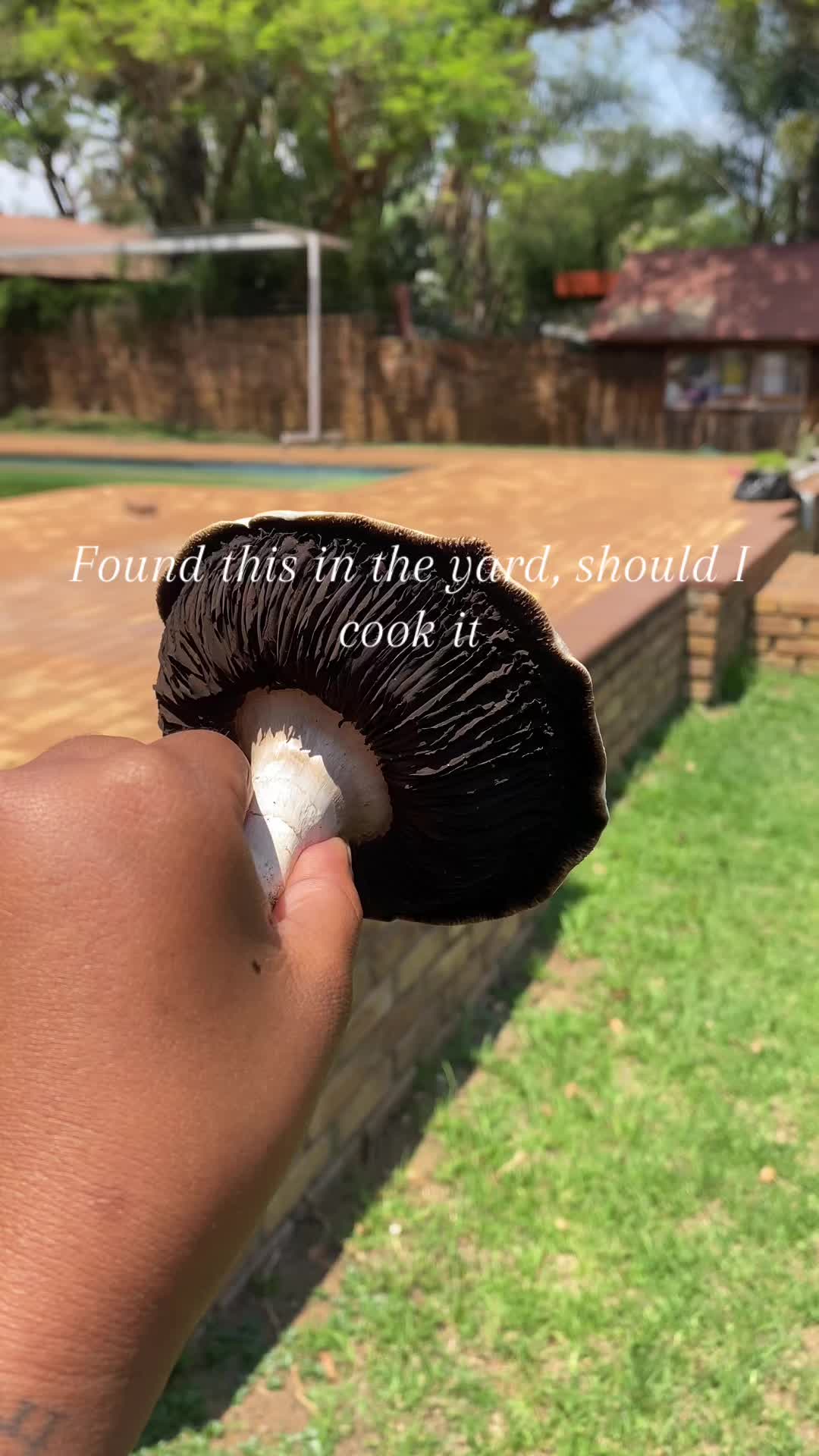 @Sisi Wenu🇿🇦