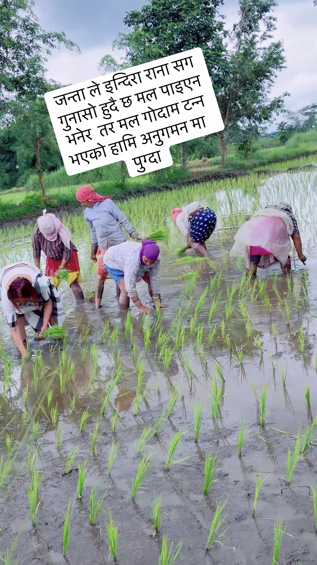 @दिलु दाहाल