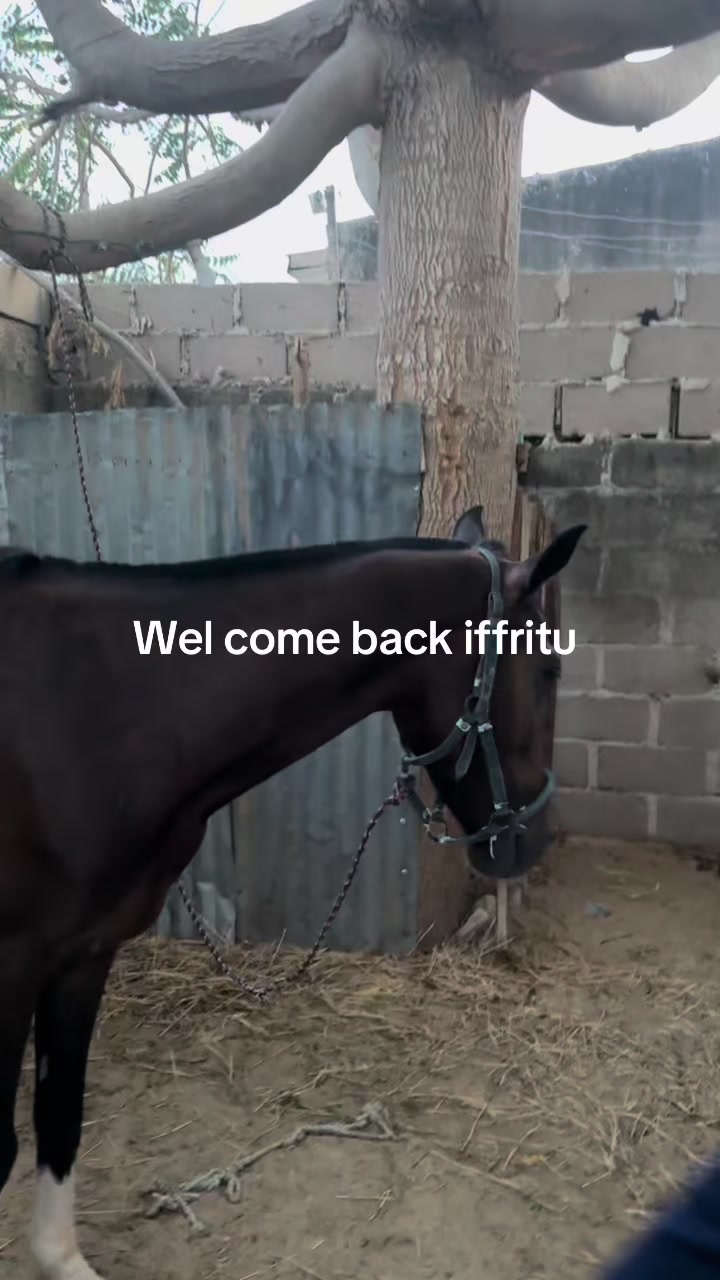 @Habu marafa